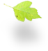 Pronet Güvenlik Danışmanı